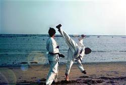 Image result for Nottingham Sankukai Karate
