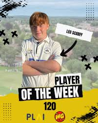 Image result for Mildenhall Cricket Club