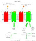 BC Online: 6B - Models of Enzyme Inhibition