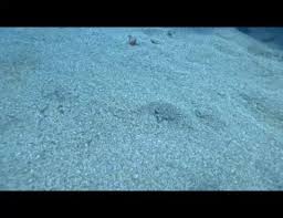 Image result for Lincoln & District BSAC 0109