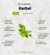 Image result for Kerbel
