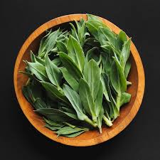 Attēlu rezultāti vaicājumam “Silene tatarica leaf”