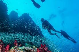Image result for TAL Divers