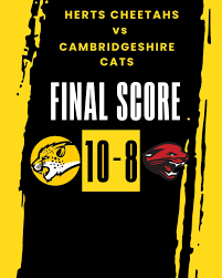 Image result for Chiltern Cheetahs American Football Club