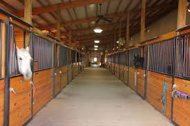 Image result for Carman Stables