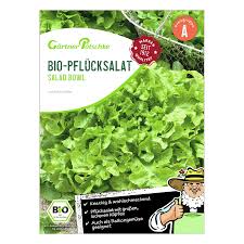 Image result for Pflücksalat