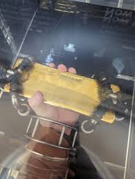 Image result for Rory Parle