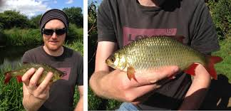 Image result for Taunton Angling Association