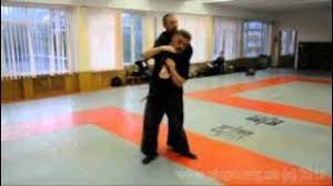 Image result for Bujinkan Ninpo Dojo
