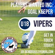 Image result for Oxhey Football Club