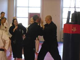 Image result for Cobra Karate Club