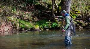 Image result for Runnymede Angling Association