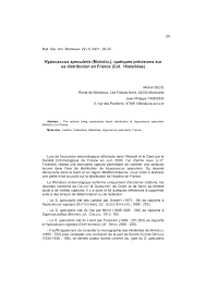 Attēlu rezultāti vaicājumam “Hypocaccus rugiceps”