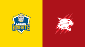 Image result for Swindon Panthers