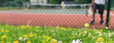 Image result for Sevenoaks Lawn Tennis Club