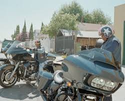 Image result for Bay Dragons CC