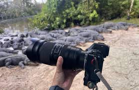 Image result for nikon tehron