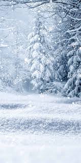 Image result for schnee