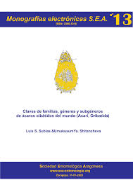 Attēlu rezultāti vaicājumam “Belbodamaeus sp.”