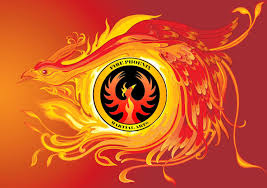 Image result for Phoenix Martial Arts