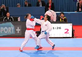 Image result for ZOKU SHOTOKAN KARATE (Baldock)