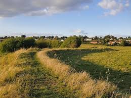 Image result for Pulborough Cricket Club