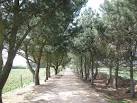 The Corbiere Walk is the route - via Daymix