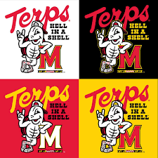 Image result for shell hell