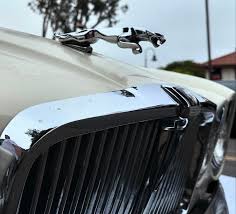 Image result for Nimbus White 1987 Jaguar