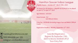 Image result for Hamilton Panthers Association Football Club