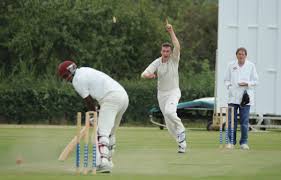 Image result for Luctonians Cricket Club