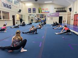 Image result for Weston Aerobic Gymnastics Club