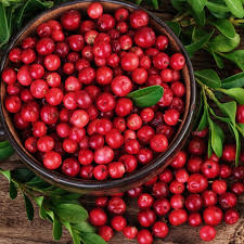 Attēlu rezultāti vaicājumam “Oxycoccus fruit”