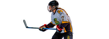 Image result for Glasgow Vipers Roller Hockey Club