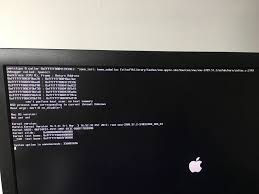 Image result for kernel panic snow leopard
