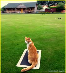 Image result for Gosforth Bowls Club
