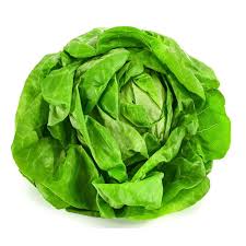 Image result for Kopfsalat