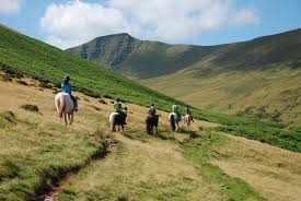 Image result for Brecon Badminton Club
