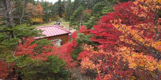 Attēlu rezultāti vaicājumam “Ena montana”