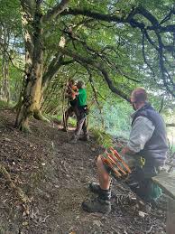 Image result for Row Brow Field Archery