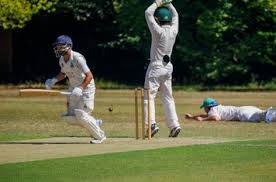 Image result for Welwyn Garden City Cricket Club