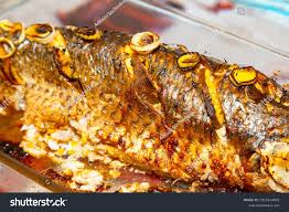 Image result for Chelon ramada