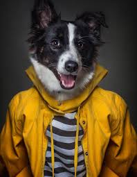 Image result for werehuman фото