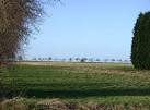 of the line of slightly odd-looking trees seen in TL4466 : Cheerleaders - via Daymix