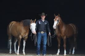 Image result for Palmers Riding Stables