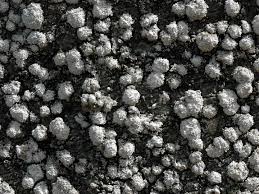 Attēlu rezultāti vaicājumam “Pertusaria amara”