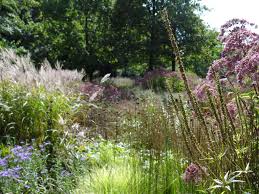 Image result for Piet Oudolf