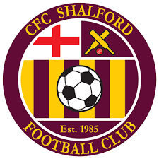Image result for Shalford Cricket Club