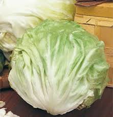 Image result for Zichorie