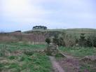 Tree topped Law Hill above Dollar taken from NS970992 - via Daymix